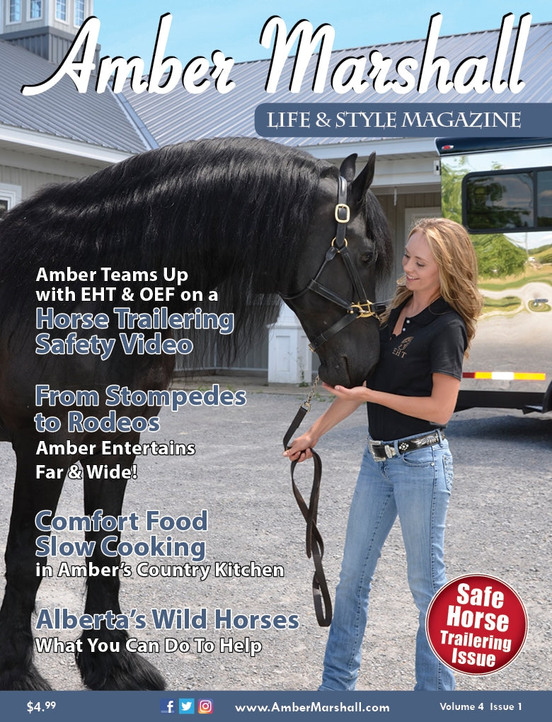 Life and Style Magazine, Volume 4, Issue 1 - DIGITAL DOWNLOAD FORMAT ONLY