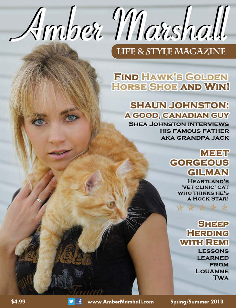 Life and Style Magazine, Volume 1, Issue 2