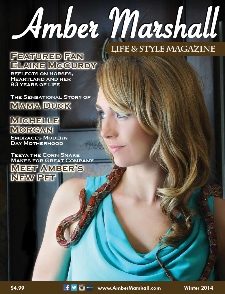 Life and Style Magazine, Volume 2, Issue 1- DIGITAL DOWNLOAD FORMAT ONLY