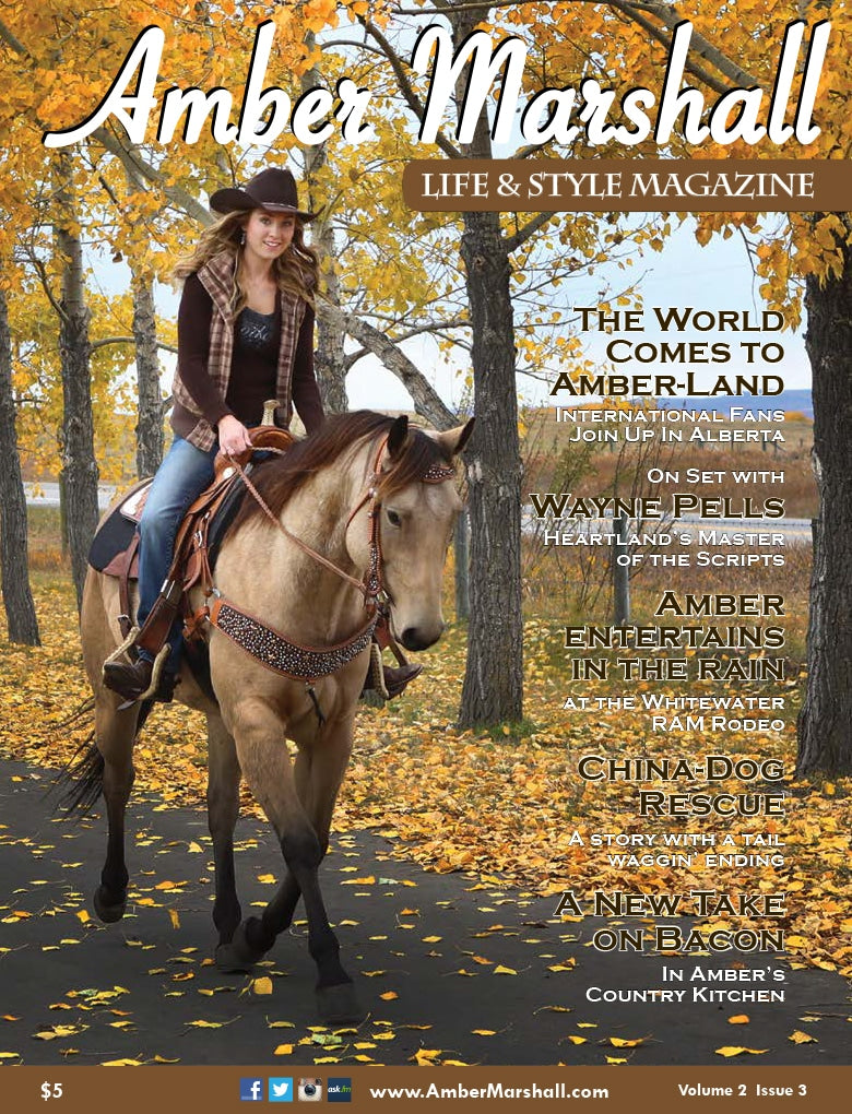 Life and Style Magazine, Volume 2, Issue 3 - DIGITAL DOWNLOAD FORMAT ONLY