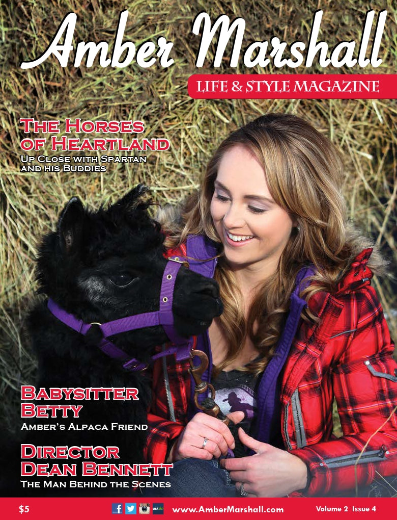Life and Style Magazine, Volume 2, Issue 4 - DIGITAL DOWNLOAD FORMAT ONLY
